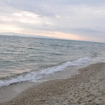 Dia Summer - Halkidiki Com